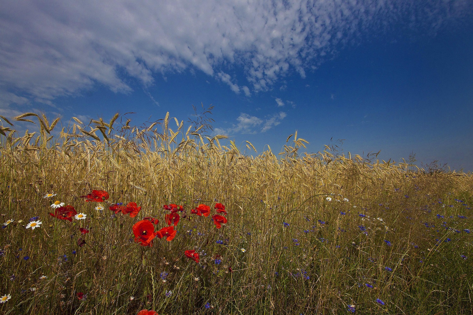 Lebensquelle Natur